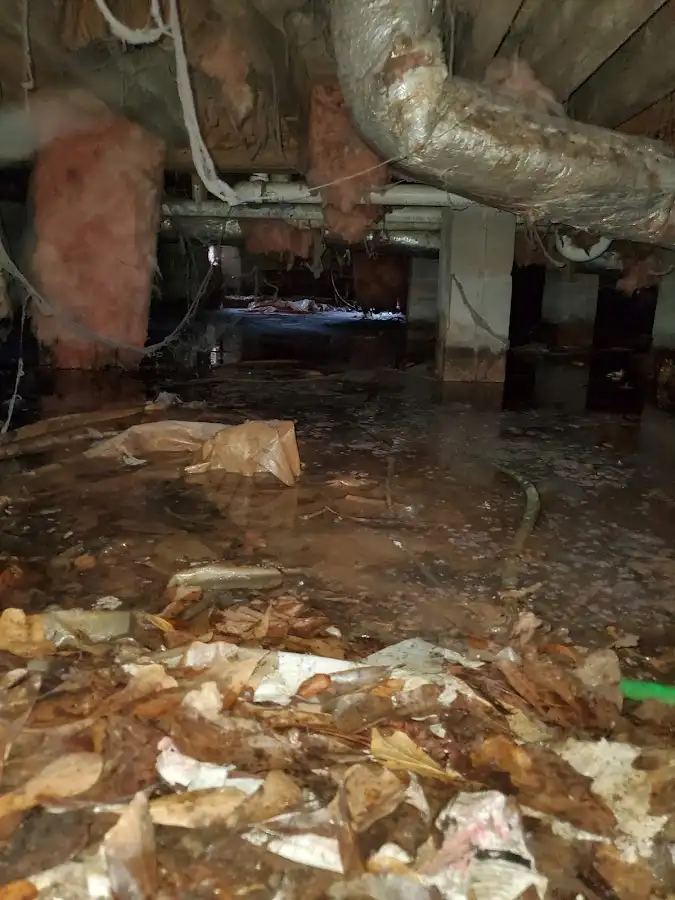 Crawl space flood assessment for Commercial Water Damage Restoration in Ladson